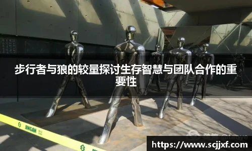 xc体育步行者与狼的较量探讨生存智慧与团队合作的重要性